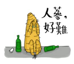 人參好難